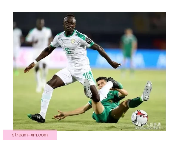 世界杯足球竞猜全攻略技巧及实战分析助你精准预测比赛结果