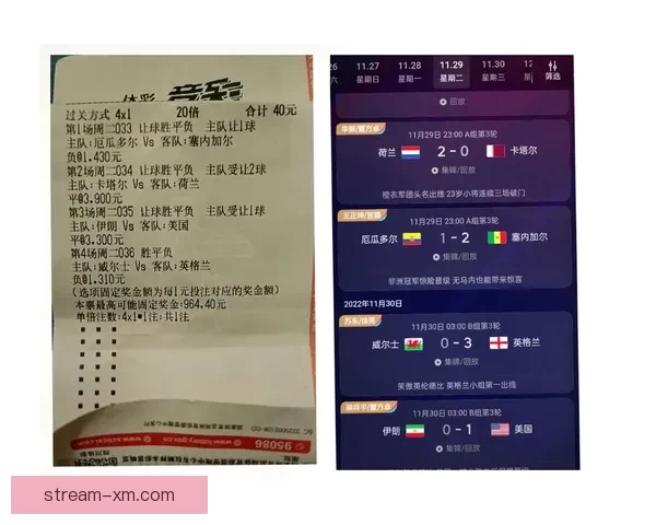 世界杯竞猜APP官网最新版本上线 精准预测赛事结果助力竞猜赢家
